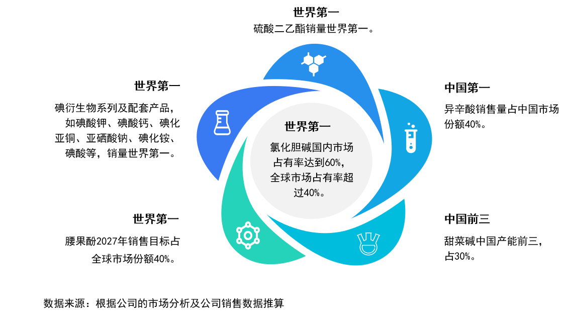 市场地位250901
